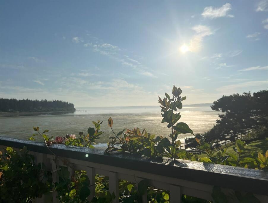 Murden Cove Waterfront Retreat: 3Br Oasis & Kayaks Villa Bainbridge Island Eksteriør billede